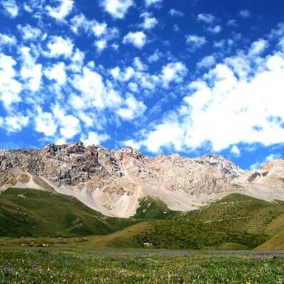 北晚社会新疆阿克苏地区沙雅县发生3.7级地震